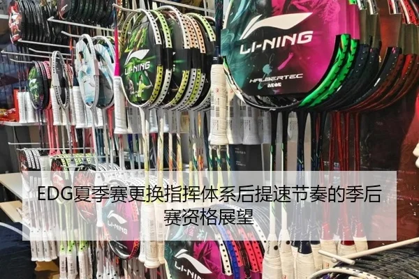EDG夏季赛更换指挥体系后提速节奏的季后赛资格展望